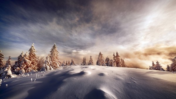 file_92181701