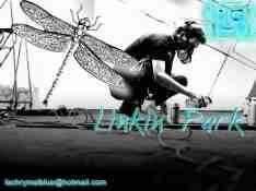 file_16230093