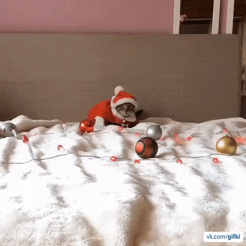 Котэ нг