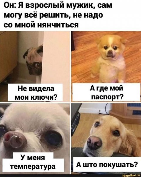 x500
