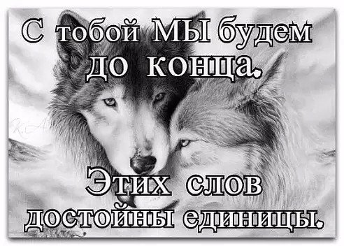 Она-моя прекрасная Волчица!