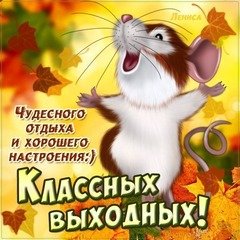 Классных выходных