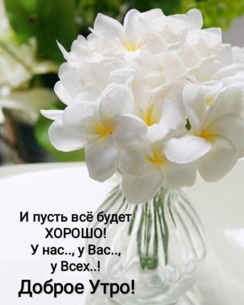file_93744379