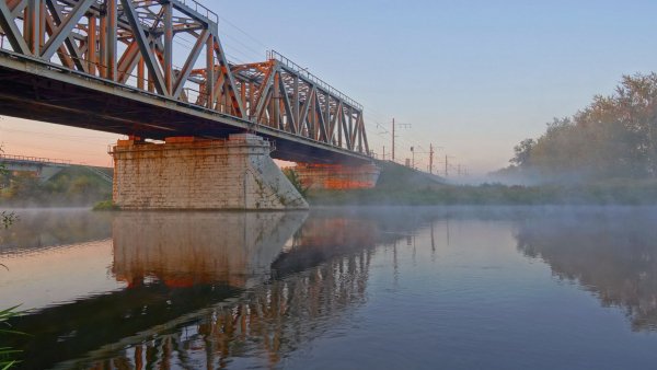 file_75642950