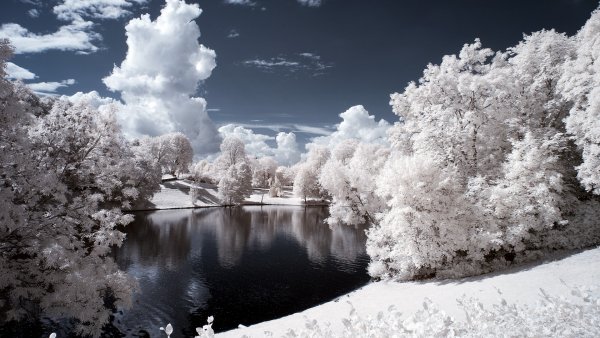 file_91938540
