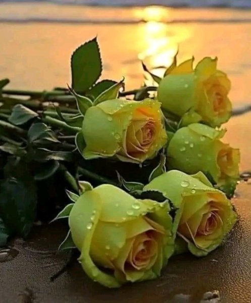 file_97393964