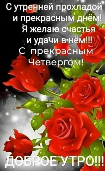 file_93982250