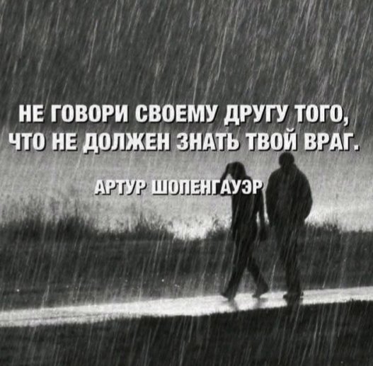 file_101546215