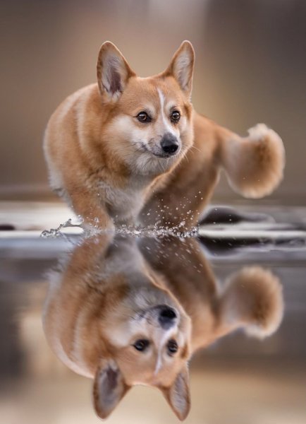 file_96488953