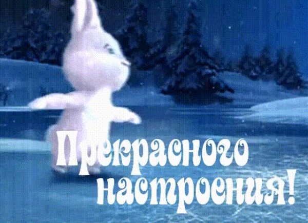 IMG 20171207 163751 13