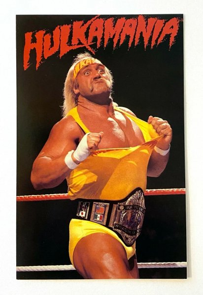 WWF-Superstars-9-Postcard-Lot-WWE-Titansports