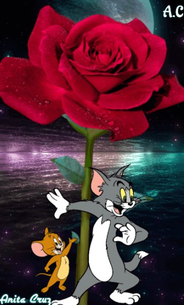 -3