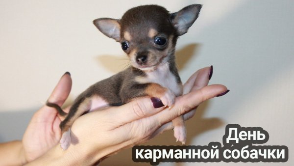 IMG 20231019 132046 798