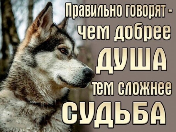 IMG 20241226 193209