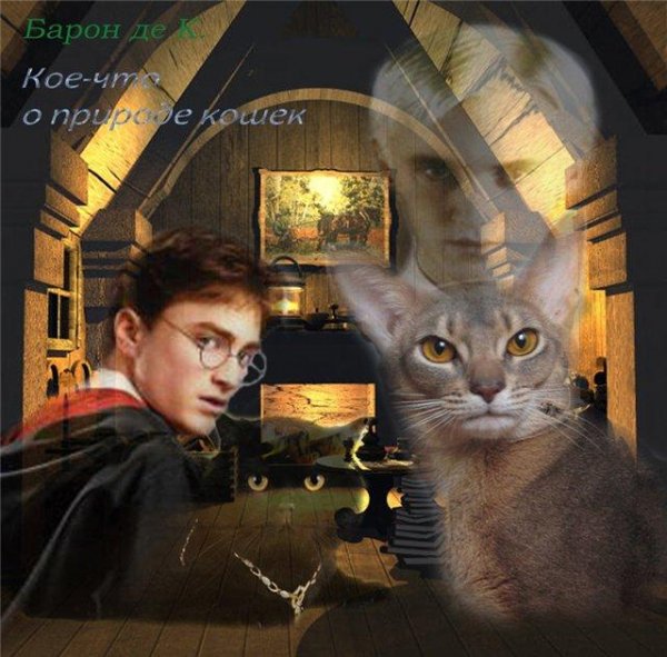 Nasledniki. Pokoriteli stihij.2