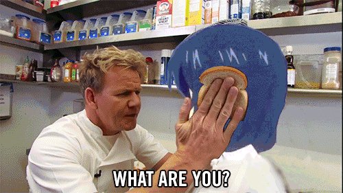 Shokugeki no Soma,Tadokoro Megumi,Гордон Рамзи