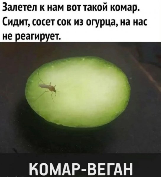 FB IMG 1777226065570