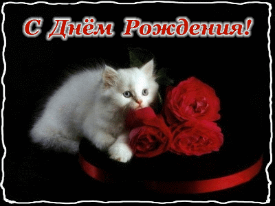 a4a7935ead6dd6718a1249387d