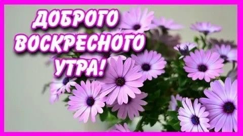 file_93787078