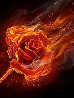 X2 Rose fire