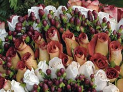file_86355555