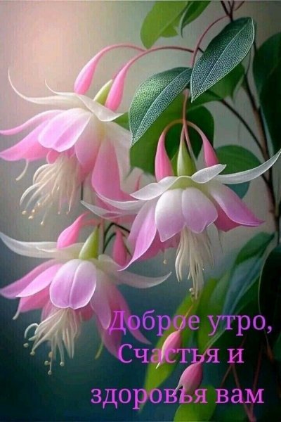 file_93915522