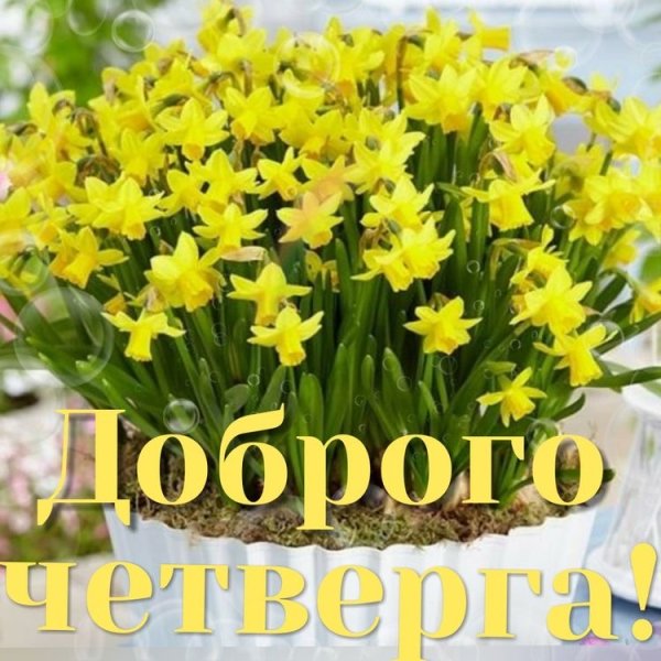 file_93923538