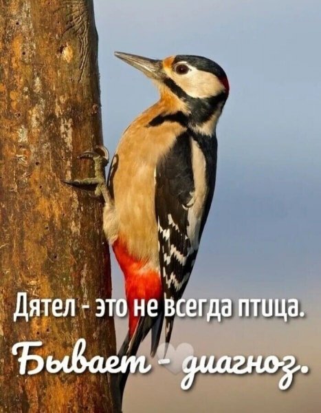 IMG 20250523 174938