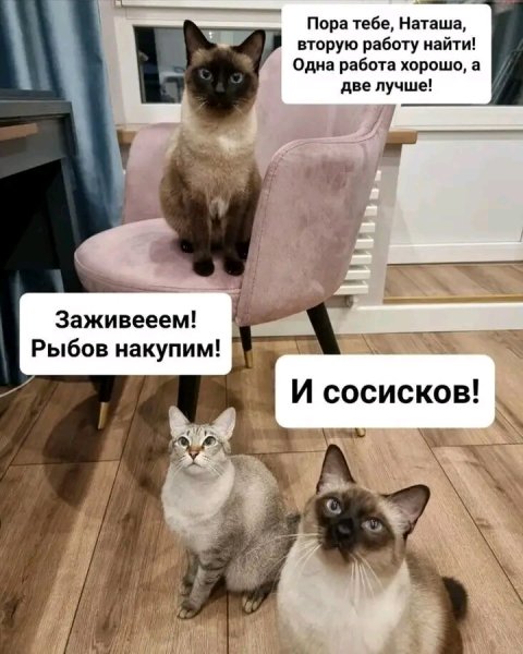 file_103532097