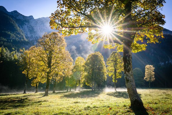 avstriia-tirol-priroda-peizazh-derevia-solntse-luchi-gory-al