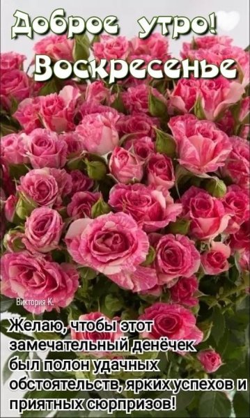 file_93787076