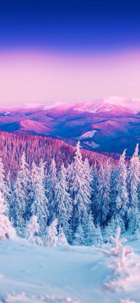 file_91912906