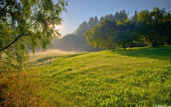 summer morning-wallpaper-5120x3200