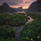 *