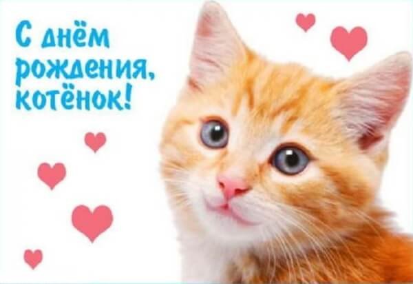 IMG 20181221 086762