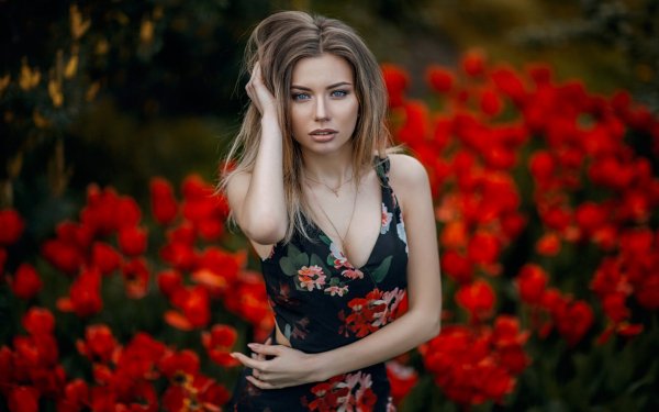 Обои на рабочий стол