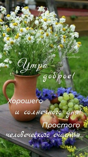 file_93989493