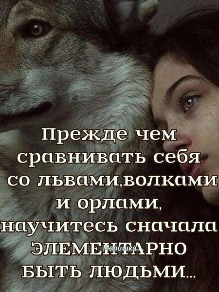 file_100848067
