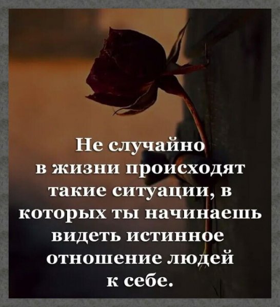 IMG 20260205 220326