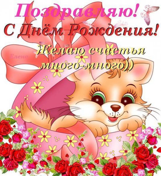 file_81284486