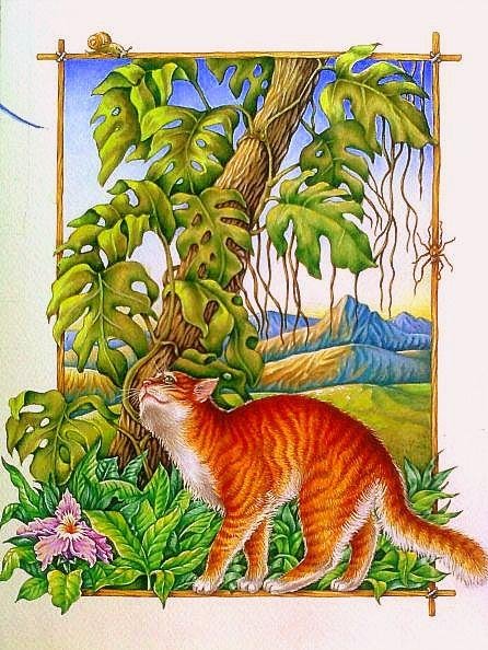Кошка которая гуляет сама по себе