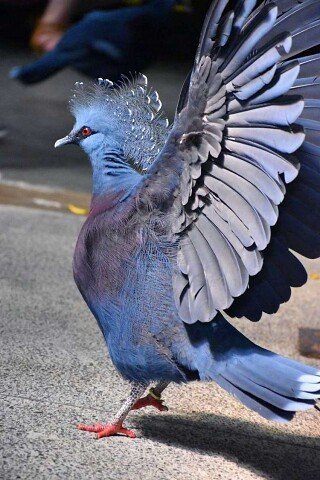 file_90155805