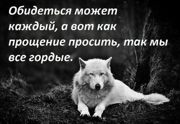 Мы все гордые