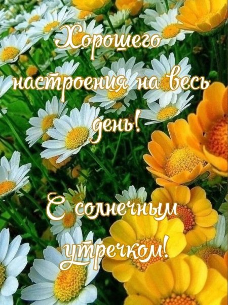 file_93878691