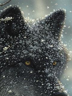 image 41090914092020739016