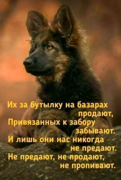 IMG viter59 134457