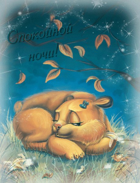 Спокойной ночи!