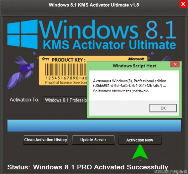 Windows 8.1 KMS Activator Ultimate 1.5 F