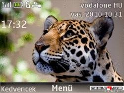 leopard