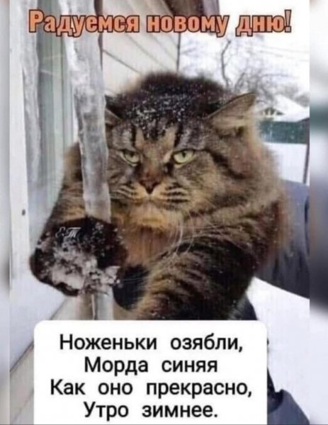FB IMG 1765745146738